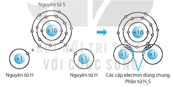 Hãy vẽ sơ đồ biểu diễn sự hình thành liên kết cộng hóa trị trong các phân tử sau