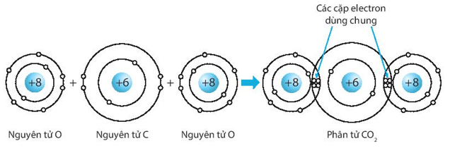 Hãy vẽ sơ đồ biểu diễn sự hình thành liên kết cộng hóa trị trong các phân tử sau