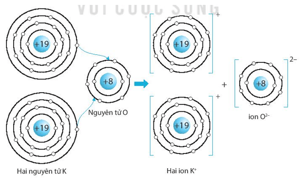 Hãy vẽ sơ đồ hình thành liên kết ion trong các phân tử sau