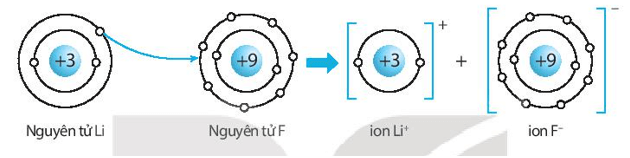 Hãy vẽ sơ đồ hình thành liên kết ion trong các phân tử sau