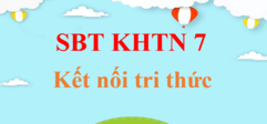 Sách bài tập Khoa học tự nhiên lớp 7 Kết nối tri thức | Giải SBT Khoa học tự nhiên 7 hay nhất | Giải SBT KHTN 7