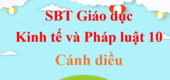 SBT KTPL 10 Cánh diều | Giải sách bài tập Giáo dục Kinh tế Pháp luật 10 (hay, ngắn gọn)