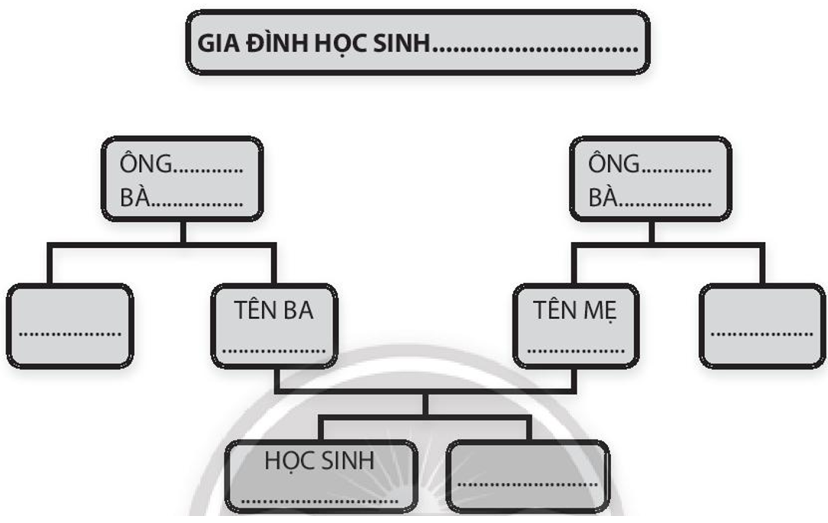 Em hãy hoàn thành cây phả hệ gia đình 3 thế hệ từ thời ông bà đến thời của em