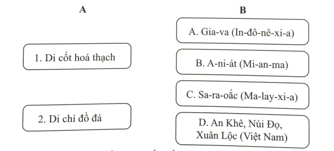 Bài 3: Nguồn gốc loài người