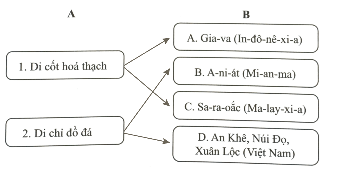 Bài 3: Nguồn gốc loài người