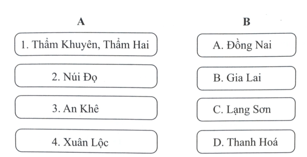 Bài 3: Nguồn gốc loài người