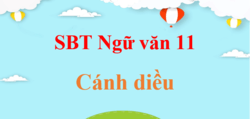 Sách bài tập Ngữ Văn 11 Cánh diều | Giải SBT Văn 11 (hay, ngắn gọn)