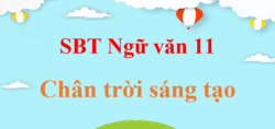 Sách bài tập Ngữ Văn 11 Chân trời sáng tạo | Giải SBT Văn 11 (hay, ngắn gọn)