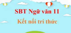 Sách bài tập Ngữ Văn 11 Kết nối tri thức | Giải SBT Văn 11 (hay, ngắn gọn)