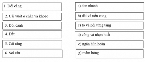 Bài tập đọc hiểu: Bài học đường đời đầu tiên