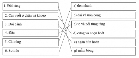 Bài tập đọc hiểu: Bài học đường đời đầu tiên