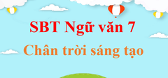 Sách bài tập Ngữ Văn lớp 7 Chân trời sáng tạo | Giải SBT Ngữ Văn 7 Tập 1, Tập 2 hay nhất