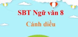 SBT Văn 8 Cánh diều | Giải sách Bài tập Ngữ văn 8 (hay, ngắn gọn)