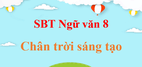 Sách bài tập Ngữ Văn 8 Chân trời sáng tạo | Giải SBT Văn 8 (hay, ngắn gọn)