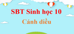 Sách bài tập Sinh học 10 Cánh diều | Giải Sách bài tập Sinh học 10 | Giải Sách bài tập Sinh học 10 hay nhất | Giải SBT Sinh học 10 CD