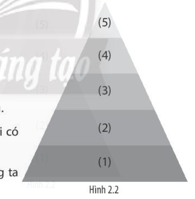 Hãy sắp xếp các bước sau đây theo thứ tự vào sơ đồ Hình 2.2 cho đúng