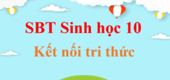 SBT Sinh 10 Kết nối tri thức | Giải Sách bài tập Sinh học 10 (hay, ngắn gọn)