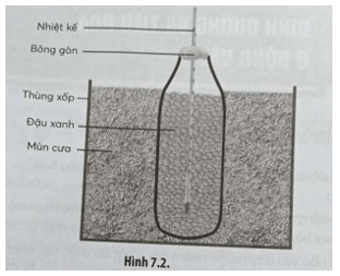 Một thí nghiệm về hô hấp ở thực vật được mô tả như Hình 7.2