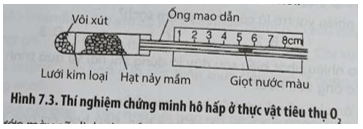 Một bạn học sinh đã thiết kế thí nghiệm chứng minh hô hấp ở thực vật tiêu thụ O2 như Hình 7.3