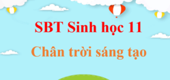 SBT Sinh 11 Chân trời sáng tạo | Giải Sách bài tập Sinh học 11 (hay, ngắn gọn)