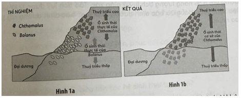 Tất cả các nguồn sống vô sinh và hữu sinh trong môi trường được một loài sử dụng được gọi là ổ sinh thái