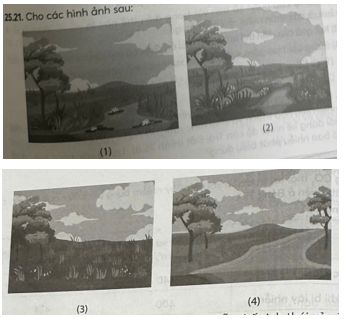 Cho các hình ảnh sau: Thứ tự hình mô tả đúng các giai đoạn của diễn thế sinh thái