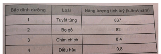 Một nghiên cứu về sự chuyển hóa năng lượng trong một chuỗi thức ăn ở rừng rụng lá ôn đới 