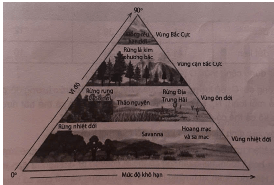 Dưới đây là hình các khu sinh học trên cạn: Dựa vào thông tin trên hình, hãy cho biết 