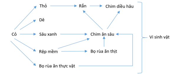 Trong một quần xã sinh vật có các loài sau: thỏ, dê, cỏ, chim ăn sâu, sâu xanh 