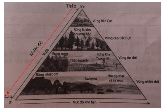 Quan sát hình các khu sinh học trên cạn ở câu 71 và trả lời các câu hỏi sau 