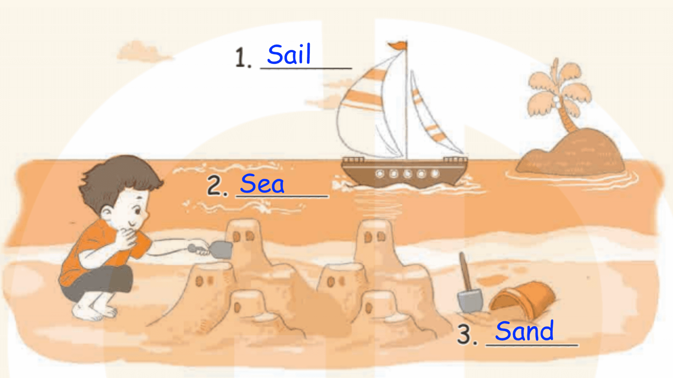 Sách bài tập Tiếng Anh lớp 2 Unit 3: At the seaside | Kết nối tri thức