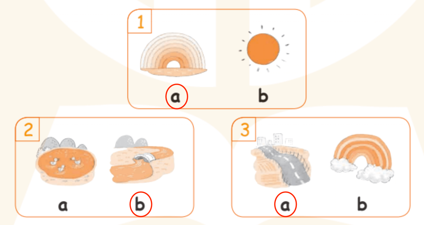 Sách bài tập Tiếng Anh lớp 2 Unit 4: In the countryside | Kết nối tri thức