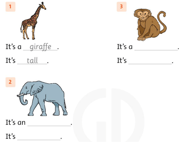 Sách bài tập Tiếng Anh lớp 3 Family and Friends Unit 4 trang 31 Lesson 2