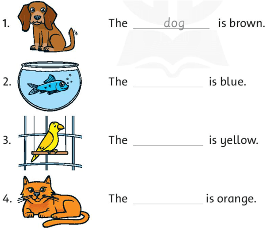 Sách bài tập Tiếng Anh lớp 3 Family and Friends Unit 4 trang 32 Lesson 3