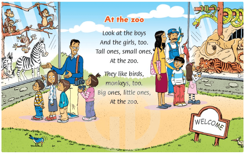 Sách bài tập Tiếng Anh lớp 3 Family and Friends Unit 4 trang 34 Lesson 5
