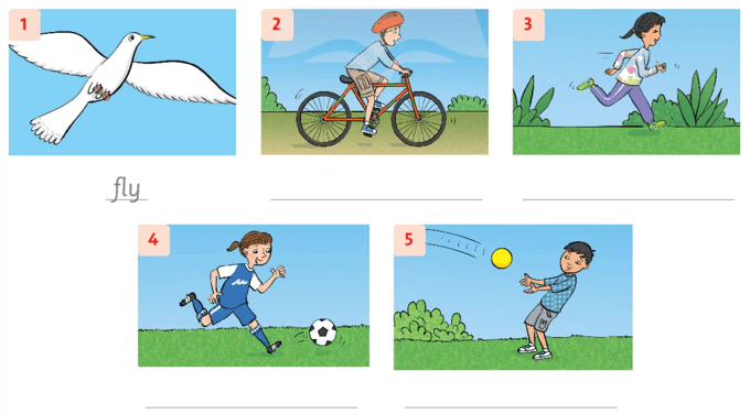 Sách bài tập Tiếng Anh lớp 3 Unit 9 trang 62 Lesson 1 | Family and Friends 3 Chân trời sáng tạo