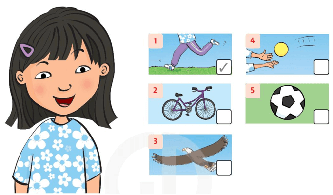 Sách bài tập Tiếng Anh lớp 3 Unit 9 trang 63 Lesson 2 | Family and Friends 3 Chân trời sáng tạo