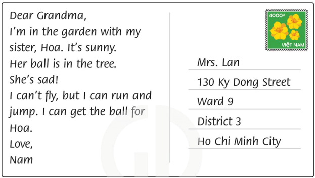 Sách bài tập Tiếng Anh lớp 3 Unit 9 trang 66 Lesson 5 | Family and Friends 3 Chân trời sáng tạo