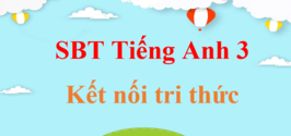 Sách bài tập Tiếng Anh lớp 3 Kết nối tri thức | Sách bài tập Tiếng Anh lớp 3 Global Success | Giải sách bài tập Tiếng Anh lớp 3 hay, chi tiết | Bài tập Global Success 3