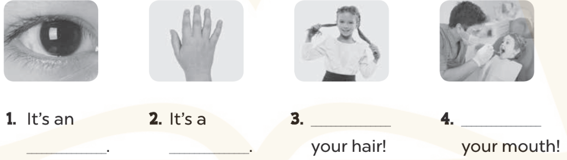 Sách bài tập Tiếng Anh lớp 3 Global Success Unit 4 trang 16 Phonics and Vocabulary
