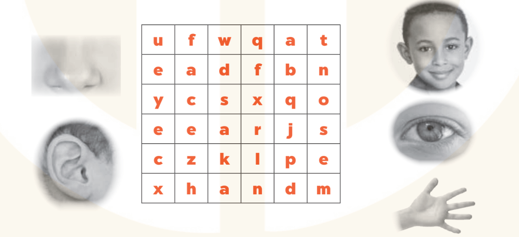 Sách bài tập Tiếng Anh lớp 3 Global Success Unit 4 trang 16 Phonics and Vocabulary