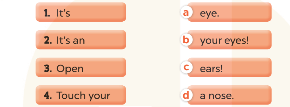 Sách bài tập Tiếng Anh lớp 3 Global Success Unit 4 trang 17 Sentence patterns