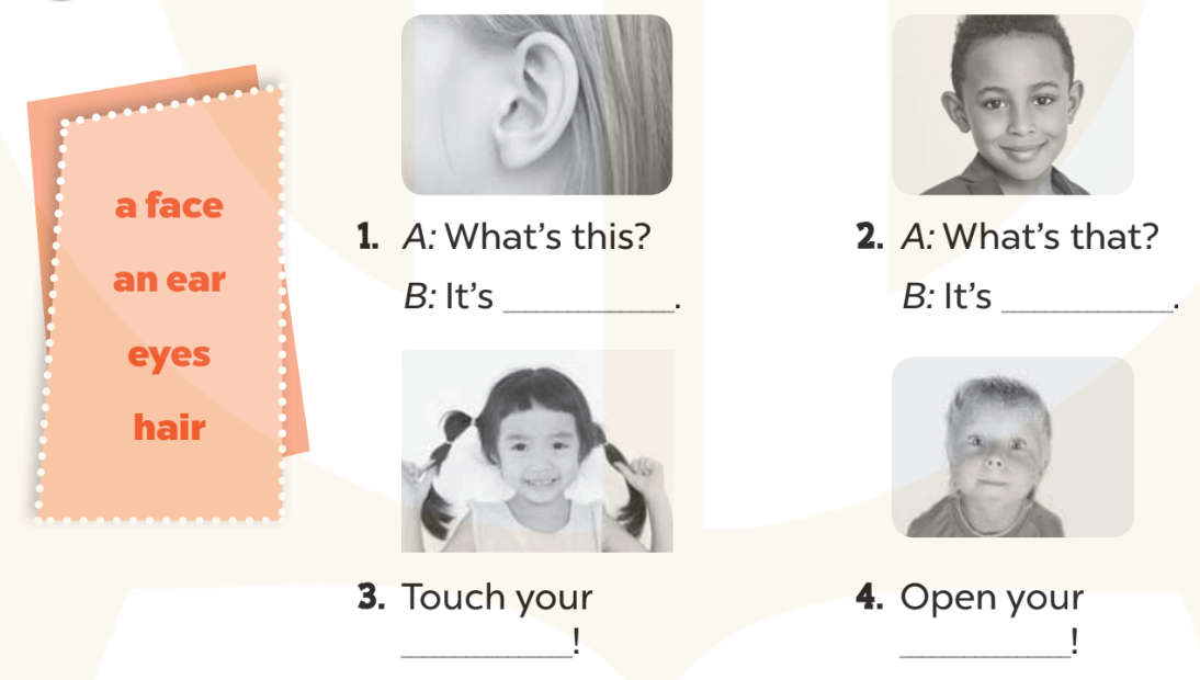 Sách bài tập Tiếng Anh lớp 3 Global Success Unit 4 trang 17 Sentence patterns