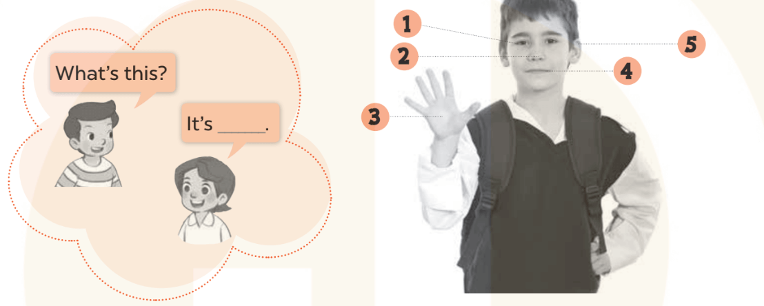 Sách bài tập Tiếng Anh lớp 3 Global Success Unit 4 trang 18 Speaking