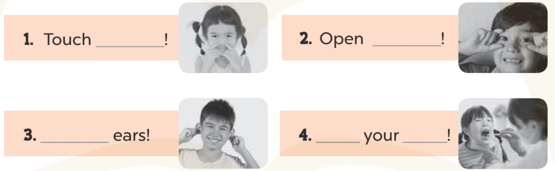 Sách bài tập Tiếng Anh lớp 3 Global Success Unit 4 trang 19 Writing