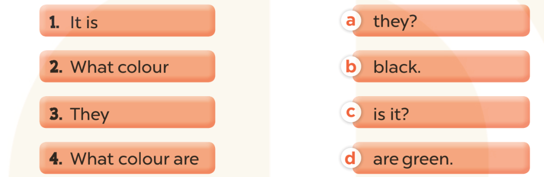 Sách bài tập Tiếng Anh lớp 3 Unit 9 trang 41 Sentence patterns | Global Success 3 Kết nối tri thức