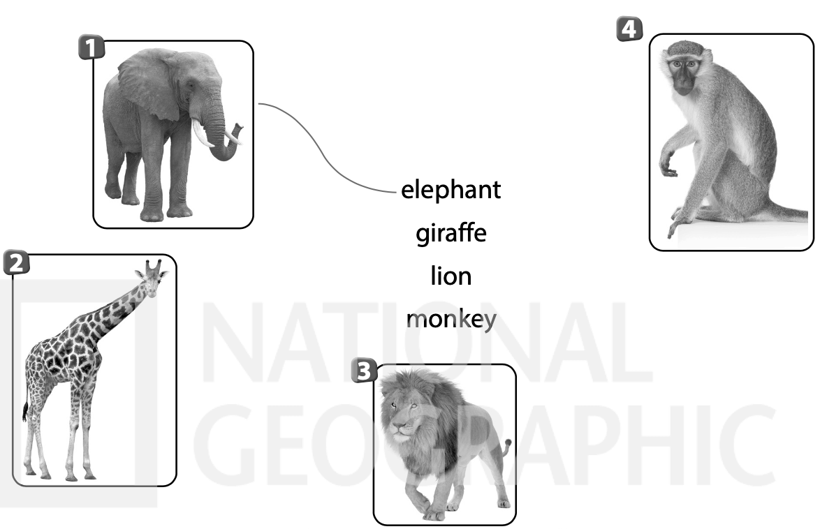 Sách bài tập Tiếng Anh lớp 3 Wonderful World Unit 3 Lesson 2 (trang 31, 32)