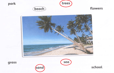 Sách bài tập Tiếng Anh lớp 4 Family and Friends Unit 5 Lesson five trang 40