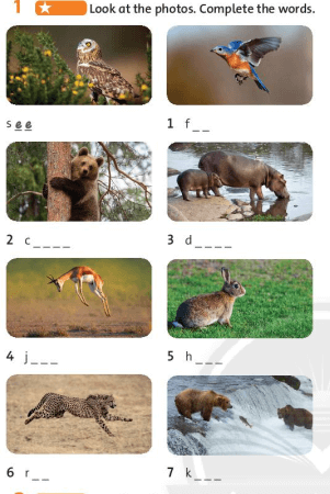 Giải sách bài tập Tiếng Anh 6 trang 26 Unit 3: Wild life Vocabulary and Listening
