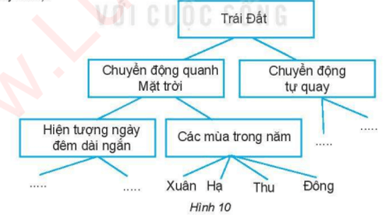 Bài 10: Sơ đồ tư duy